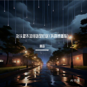 抬头望不知何处是归途（抖音热播版） 伴奏