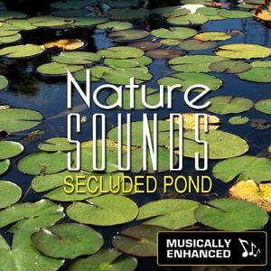 Secluded Pond