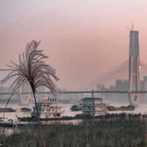 夏天（翻自 李玖哲）