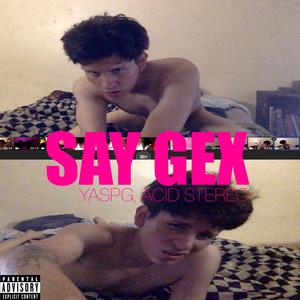 SAY GEX (feat. Acid Stereo)