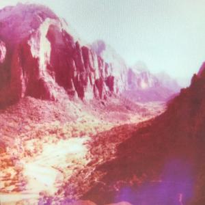 The Swamp of The River