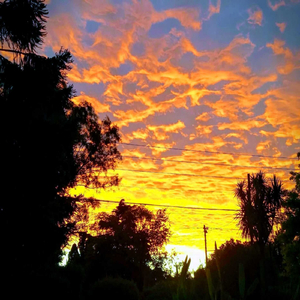 Back To Cali (Lucio Rode Remake)