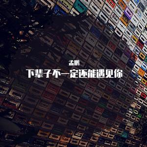 下辈子不一定还能遇见你