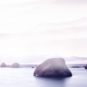 逐浪飞花（Cover 贰婶&流浪的蛙蛙）