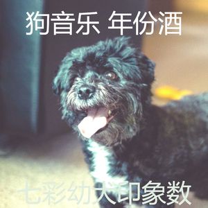 诗意的可爱的狗节奏