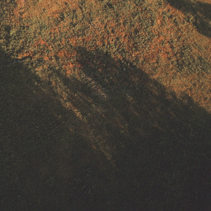 Through All the Years