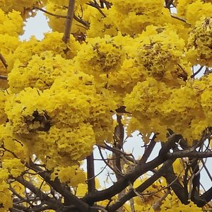 有缘再见，我最爱的人.mp3