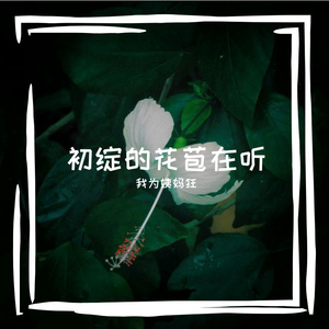 我为姨妈狂