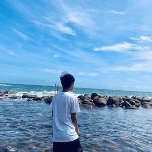 远岸的月光