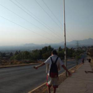 Desde el pinarte