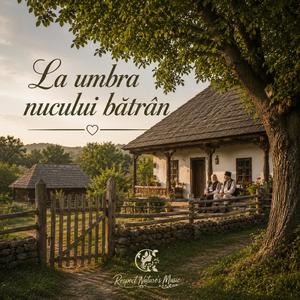 La umbra nucului bătrân