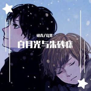 白月光与朱砂痣（男男合唱版）