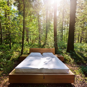 Ciclos De Sueño Equilibrados