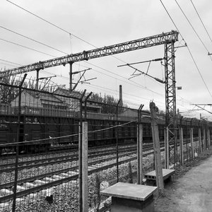 Притворяясь живым