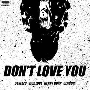 Don't love you (feat. Vice love, Benny Guap & Claudia)