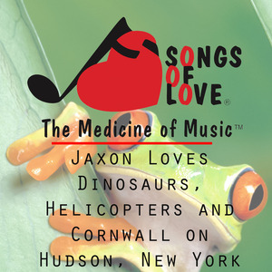 Jaxon Loves Dinosaurs, Helicopters and Cornwall on Hudson, New York