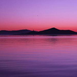 顿啦 爱你 (Remix)