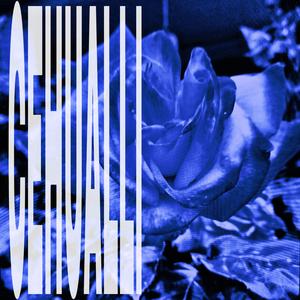 Cehualli (Slowed + Reverb)