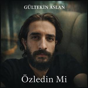 Özledin mi ?