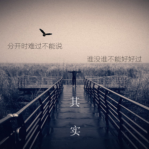 其实（Cover 薛之谦）