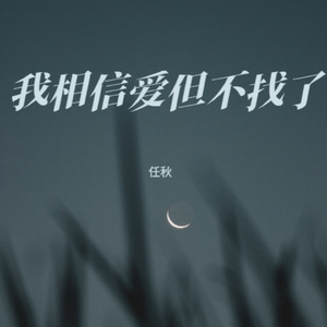 我相信爱但不找了