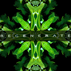 Regenerate