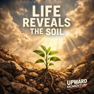 Life Reveals the Soil