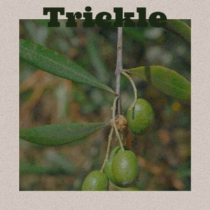 Trickle