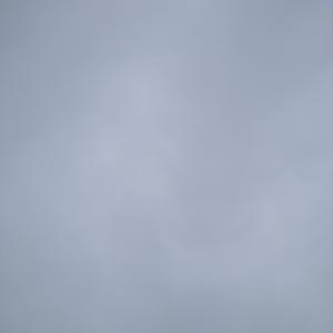 [已售]“overcast”