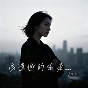 该遗憾的不是我 (Cover Nickialynn)
