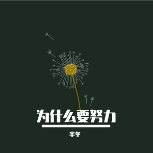 为什么要努力