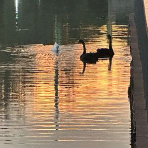 海岸与季风