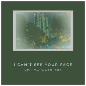 I Can’t See Your Face