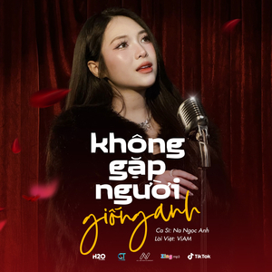 Không Gặp Người Giống Anh