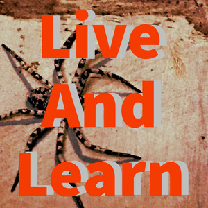 Live and Learn