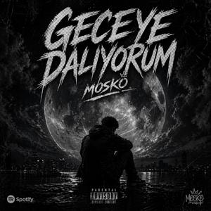 Geceye Dalıyorum