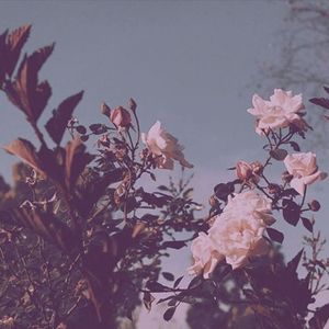 一 万 次 春 和 景 明