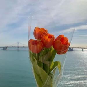 Windy Hill ( REMIX )