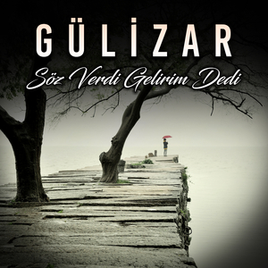 Gülüm Diken Goncam Diken