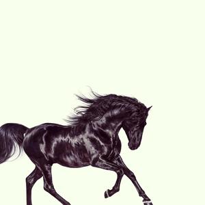 〔马了顶大〕娜塔莎的老城路（翻自 Lil Nas X）