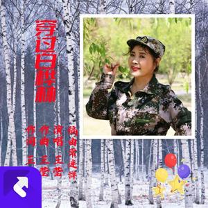 穿过白桦林[女独]