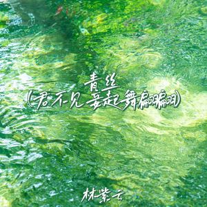 青丝 (君不见妾起舞翩翩)（DJ诗意版）