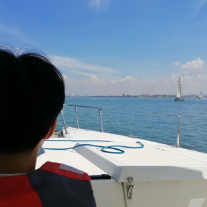 看到海的时候就想起了你