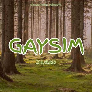Gaysim