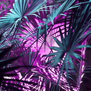 Oh My God（翻自 (G)I-DLE）