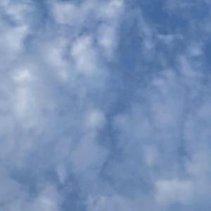 狂恋（cover 万妮达 gali）