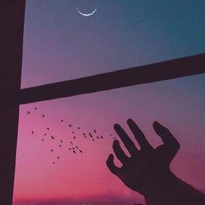 胡广生 小郑（翻自 任素汐）