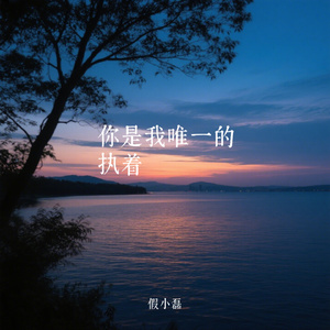 你是我唯一的执着