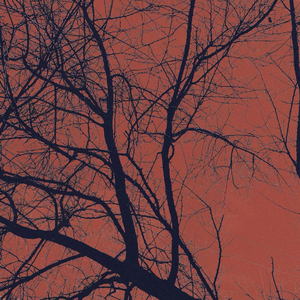 阿芙佳朵（Demo）