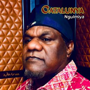 Migidawun (feat. Pau Figueres) (Catalunya Version)